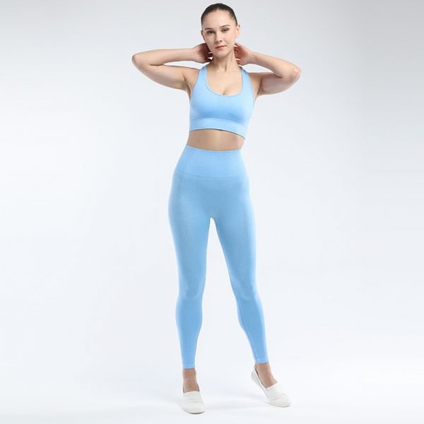 seamless activewear blue yoga leggings bra sets