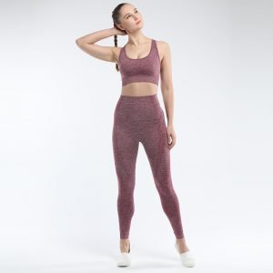 seamless activewear wine yoga leggings bra sets