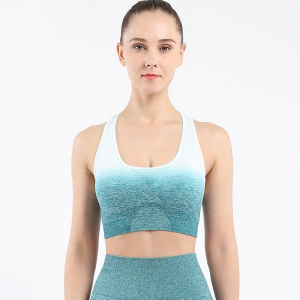 Seamless yoga wear bra blue green Change - Fitness Gym Tessiely