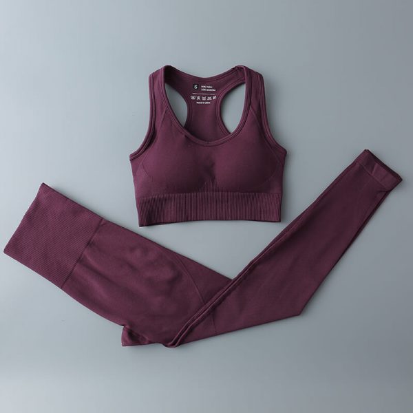 workout clothes women sets 2pcs purple red
