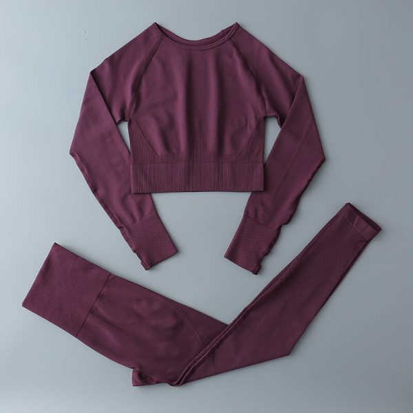 workout clothes women sets long 2pcs purple red
